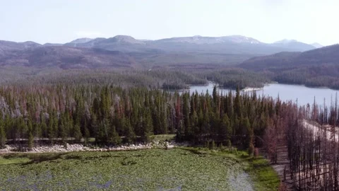 Aerial panoramic view of two lakes in the mountains, one with lilies Stock Footage 219347850
