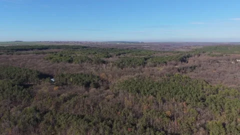 Aerial panoramic view of vast forest landscape under clear blue sky Stock Footage 323527667