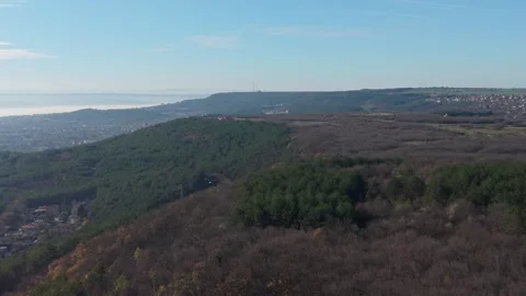 Aerial panoramic view of vast forest landscape under clear blue sky Stock Footage 323527740