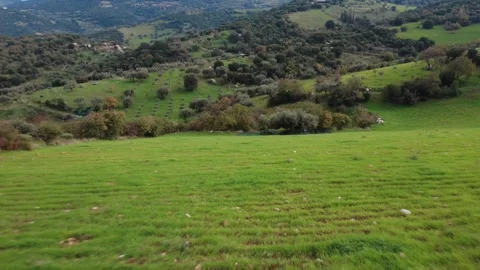 Aerial panoramic view of vast green field with hills and forest Stock Footage 337458897