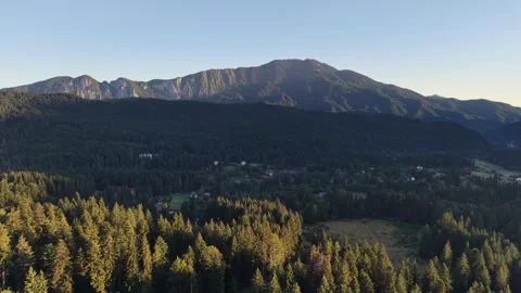 Aerial panoramic view of a vast green pine forest with mountains in the backgrou Stock Footage 345601127