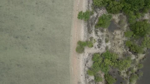 Aerial Paradise: Captivating Top-Down View of Stunning Coral Island in Sri Lanka Stock Footage 213826706