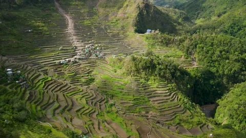 Aerial Parallax Batad Rice Terraces Amphitheater Bowl Banaue Ifugao Philippines Stock Footage 335968244