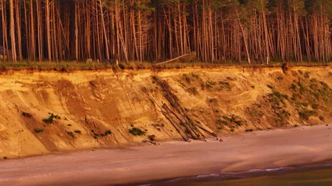 Aerial parallax of pine forest cliffs at Jurkalne Baltic coastline in golden Vídeo Stock 308517600