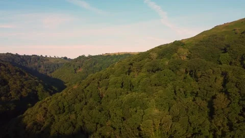 Aerial Parallax View of Intersecting Hills in Deep Valley with Dense Forests Stock Footage 311117871