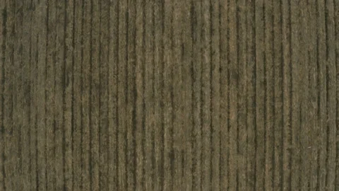 AERIAL - Parallel lines of cultivated fertile fields, wide shot top down Stock Footage 162291353