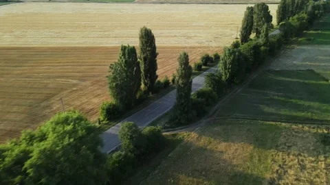 Aerial (parallel), Sown Fields, Empty Road, Grassland, Wheat and Corn of Fields Stock Footage 162621327