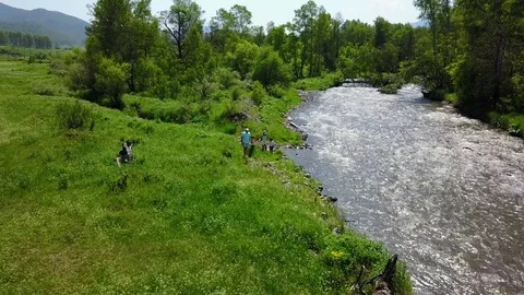 Aerial. parents walking with their children. father and mother enjoy the summer Stock Footage