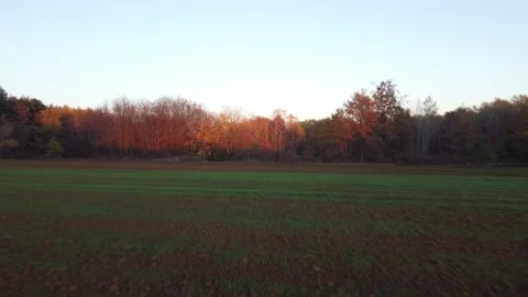 Aerial Park View Stock Footage 222391535