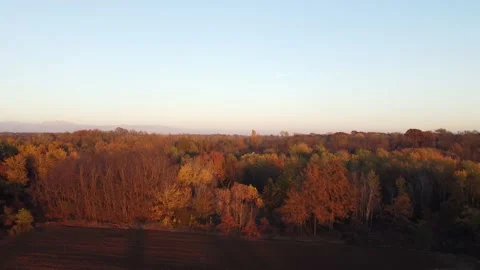 Aerial Park View Stock Footage 222391576
