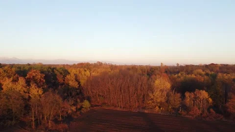 Aerial Park View Stock Footage 222391823