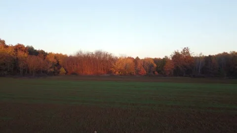 Aerial Park View Stock Footage 222392161