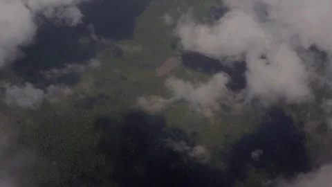 Aerial passing through clouds to reveal forest and patches of deforestation 스톡 동영상 101302515