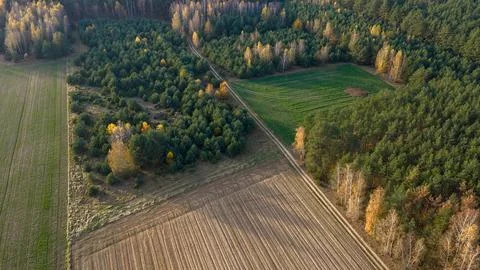 Aerial patchwork of conifer forest and fields divided by dirt track Stock Photos
