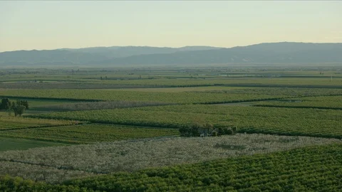 Aerial of patchwork crops fields scenery Central Valley Stock Footage 91546772
