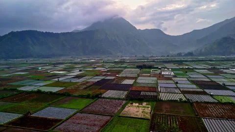 Aerial Patchwork Farm Fields Spread Across Volcanic Valley Below Misty Mountain Video stock 334262167