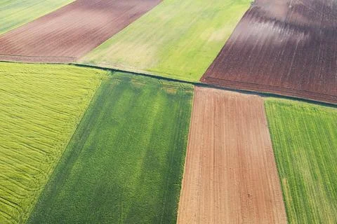 Aerial patchwork of lush agricultural fields 스톡 사진