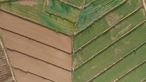 Aerial patchwork of lush fields in Spain’s farmland. Stock Footage 258445112