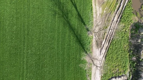 Aerial Patchwork of Nature Stock Footage 256976393