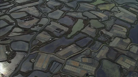 Aerial of patchwork paddy field, Close Shot Salt Beds With Glinting Sun Relected Stock-Footage 108591519