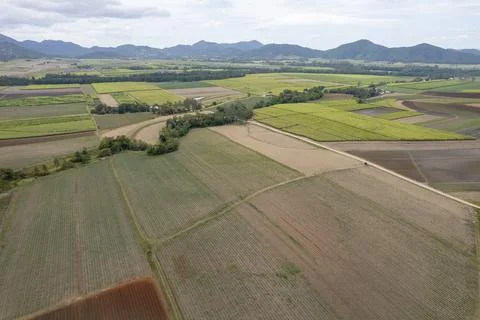 An Aerial Patchwork Of Sugarcane Fields Stock Photos