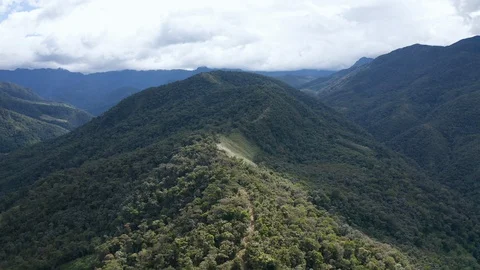 Aerial of a path leading through the rain forest of Chachapoyas, Peru 動画素材 117075604