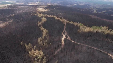 Aerial of path located in ash-covered surface. Stockbeeldmateriaal 160850614