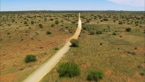 Aerial of path through the grass field and trees, Low over dirt road on the way Stock Footage 109444987