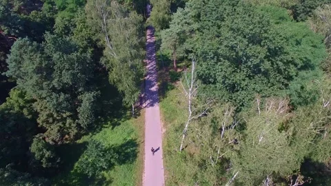 Aerial Pathway Through Forest, ideal for an adventurous journey with tranquility Stock Footage 276543104