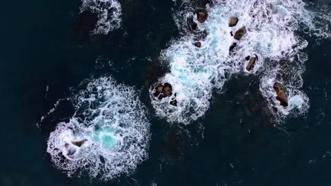 Aerial pattern of foamy waves breaking over rock, Bulgaria Stock Footage 340411186