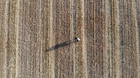 Aerial pattern over crop field with people casting a shadow Stock Footage 124491908