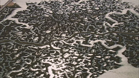Aerial of pattern of water streams on the coast, Estuary Shots Stock Footage 108604478
