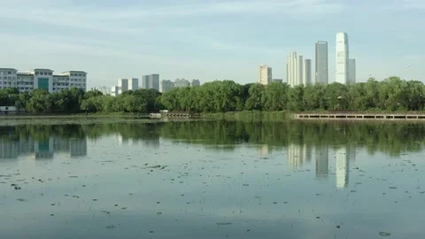 Aerial Peach Lake Stock Footage 167873953