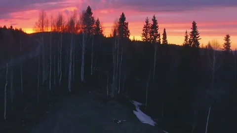 AERIAL: Perfect view of dense mountain forest during beautiful sunset. Stock Footage 82028923