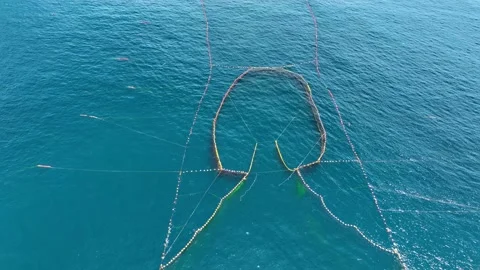 Aerial of a permanent fish nets off the coast of Taiwan. Video stock 316976726