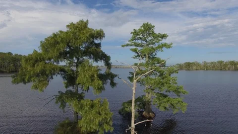 Aerial of the Perquimans River Stock Footage 128404616