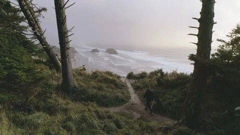 Aerial of person walking through forest near beach and sea with rocks, Oregon Vidéo 123744799
