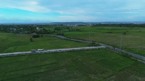 Aerial perspective captures expansive green farmland. Stock Footage 336011363