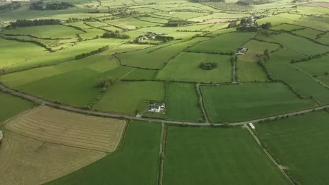 An aerial perspective captures the green fields and winding country roads 스톡 동영상 317506741
