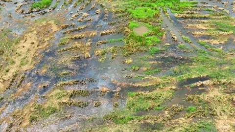 The aerial perspective captures the textured soil surface. Stock Footage 306736207
