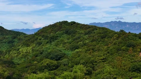 Aerial perspective of Coco Beach, showcasing its tranquil beauty and vibrant Stock Footage 295915201