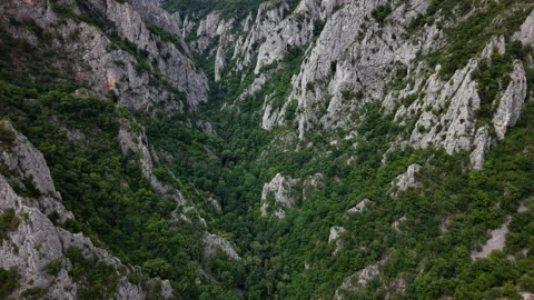 An aerial perspective of a deep mountain gorge covered in lush green forest Stock Footage 341398453