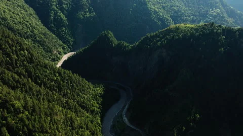 Aerial Perspective of Dense Forest Valley with Winding Road and River in Stock Footage 265594518