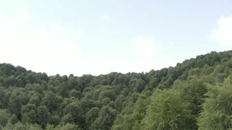 Aerial Perspective of A Forest. 4k Cinematic Reveal Shot. 库存影片 201623708