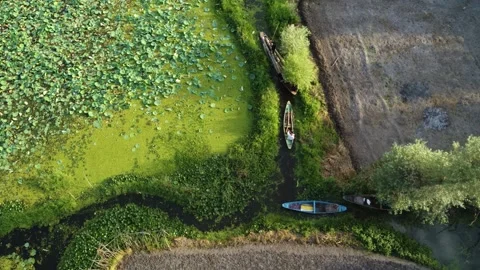 Aerial perspective of Kashmir’s floating world in Dal Lake. Stock Footage 310786726