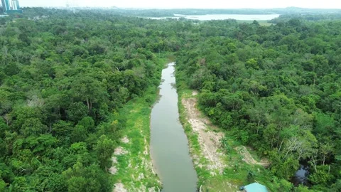 Aerial Perspective: Lush River Flowing Through Verdant Wilderness Towards D.. Stock Footage 335126271