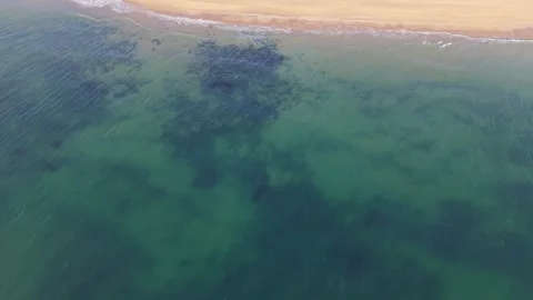 Aerial perspective of ocean coastline with beach and urban buildings Stock Footage 332129295