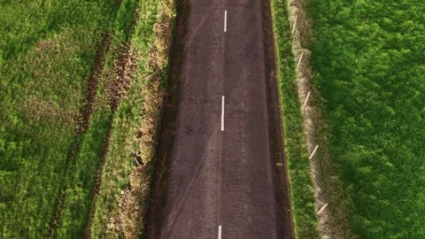Aerial perspective over road and pastures, Sao Miguel island, Azores travel.. Stock Footage 326775427