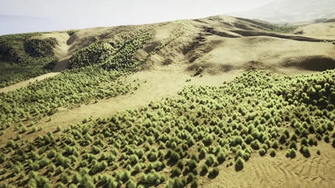 Aerial perspective reveals patchwork of dense shrub clusters for ecology 動画素材 338342048