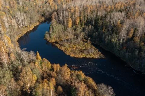Aerial perspective of a sharp bend in a dark river cutting through a dense Stock Photos